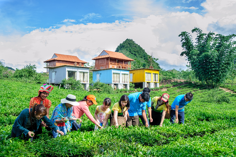 Tour Du Lịch Mộc Châu 3 ngày 2 đêm Homestay