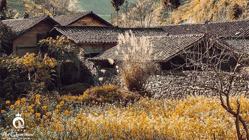 THUNG LŨNG SỦNG LÀ (HÀ GIANG) - PHÉP MÀU Ở NƠI ĐÁ CŨNG NỞ HOA